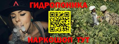 шишки Малоярославец