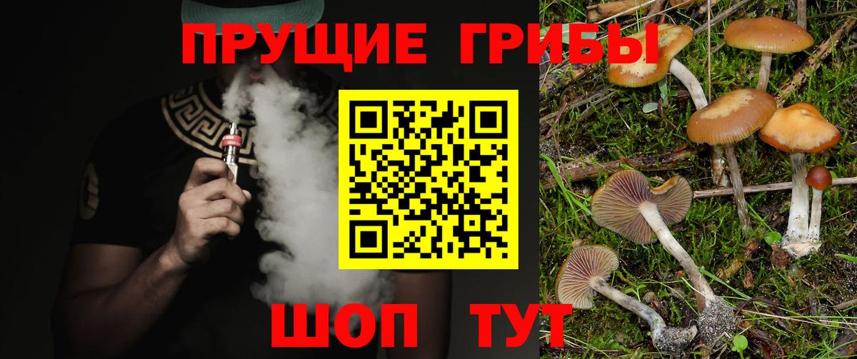 Вязники  Галлюциногенные грибы ЛСД  Вход с VPN 